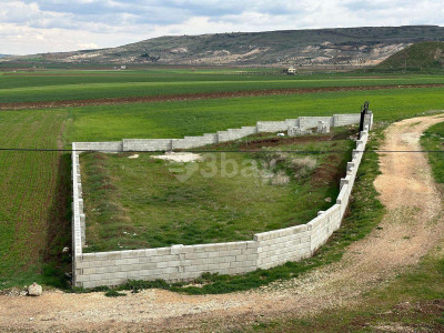 WhatsApp Image 2025-06-02 at 15.55.25.jpeg